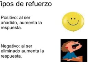 Tipos de refuerzo: concepto y índices de refuerzo