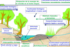 El río y su territorio. Espacio de libertad: un concepto de gestión