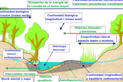 El río y su territorio. Espacio de libertad: un concepto de gestión