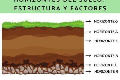 Horizontes del suelo: estructura y factores - Resumen