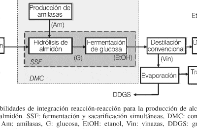 Producción biotecnológica de alcohol carburante II: integración de ...