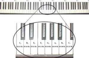 Acústica Musical: Las Escalas Musicales :::