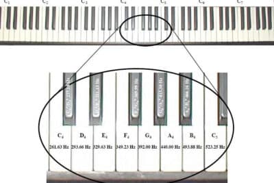 Acústica Musical: Las Escalas Musicales :::