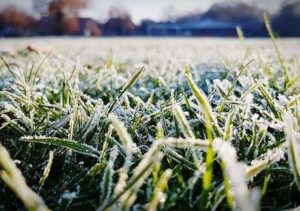 Invierno congelado: ¿Por qué y cómo se forma la temida escarcha?