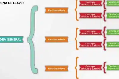 ▷ Como Hacer un Esquema 【Consejos, Tipos, Ejemplos】