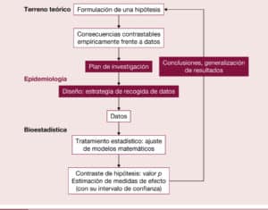 Bioestadística: de los datos a la información útil y digerible ...