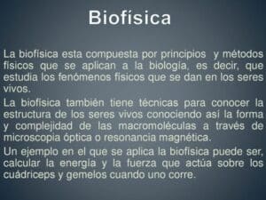 Explorando los misterios de la vida: La Biofísica y su campo de ...