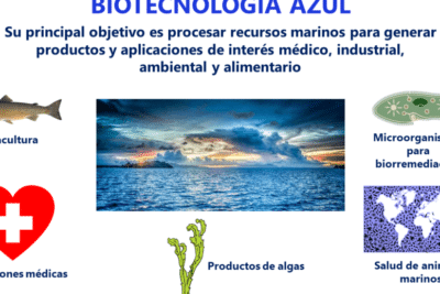 ▷ Biotecnología azul: Mundo marino | Ejemplos y aplicaciones