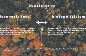 Biotopo; Qués es, tipos, componentes y ejemplos | OVACEN