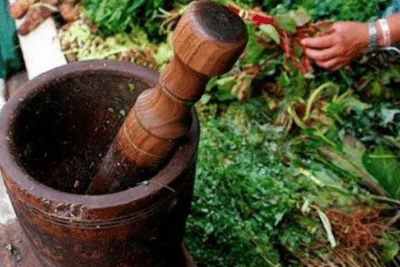 Vegetales como nuevas drogas psicoactivas: una revisión narrativa ...