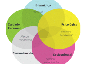 El Modelo Biopsicosocial de la Fisioterapia y la Educación ...