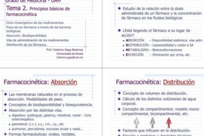 Principios Básicos de Farmacocinética | DocsFarmacologia | uDocz