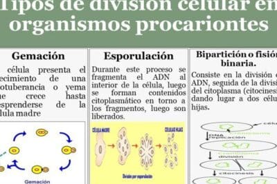 El Periódico de México | Versión para imprimir | Columnas ...