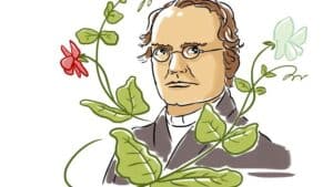 Gregor Mendel: cómo un monje con un jardín de arvejas descubrió ...