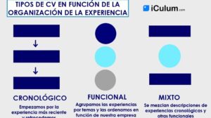 Cómo redactar la experiencia laboral en el currículum iCulum