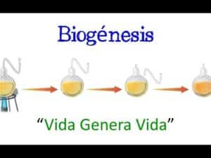 ? Teoría de la Biogénesis ? [Fácil y Rápido] | BIOLOGÍA | - YouTube