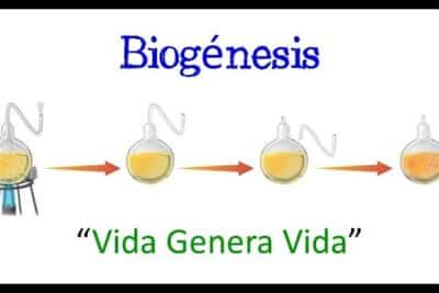 ? Teoría de la Biogénesis ? [Fácil y Rápido] | BIOLOGÍA | - YouTube