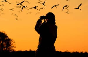 Las Garzas Brujas: observar aves con los binoculares del feminismo ...