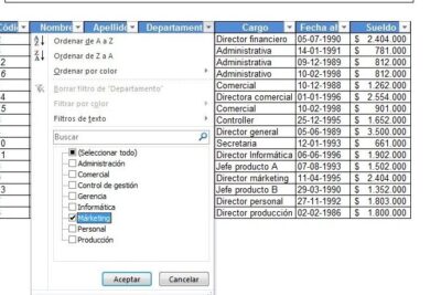 Filtros en Excel // Una de las Herramientas más Usadas - Curso Excel