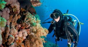 10 reglas de buceo que debes conocer si eres principiante