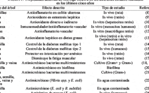 Composición nutricional, compuestos fenólicos y capacidad ...