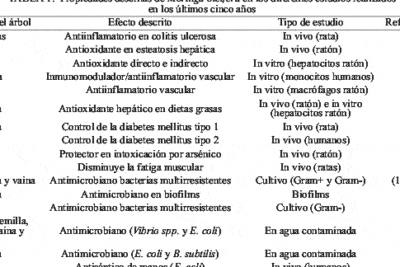 Composición nutricional, compuestos fenólicos y capacidad ...