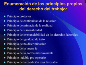 LOS PRINCIPIOS DEL DERECHO LABORAL Y SU NECESARIA REVALORIZACIÓN ...