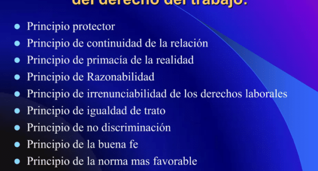 LOS PRINCIPIOS DEL DERECHO LABORAL Y SU NECESARIA REVALORIZACIÓN ...