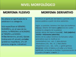 Diferencia entre morfema flexivo y derivativo