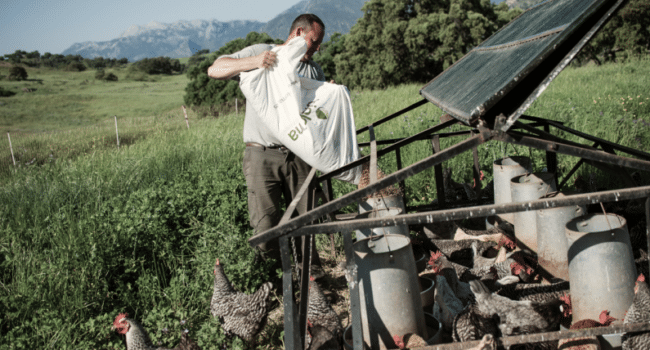 Una Granja Orgánica • La Donaira