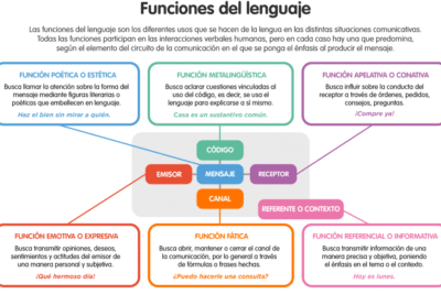 Función metalingüística (qué es y ejemplos) - Lenguaje.com