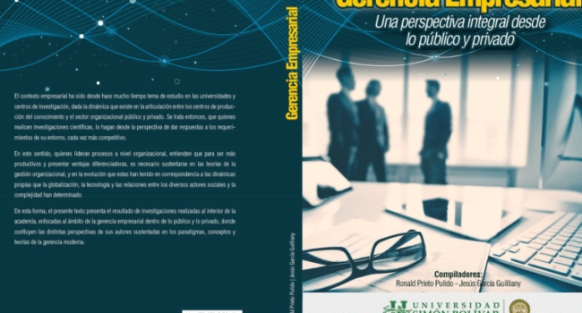 PDF) Gerencia Empresarial Una perspectiva integral desde lo ...