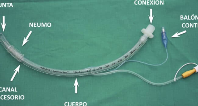 LA NECESIDAD DE COMUNICACIÓN DEL PACIENTE TRAQUEOSTOMIZADO EN LAS ...