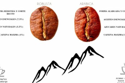 Cafés Sierra Segura - Café Arábica vs Café Robusta