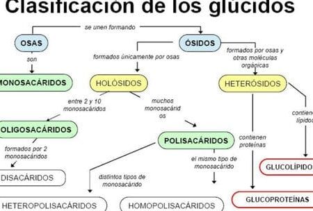 GLÚCIDOS - Naturopathic