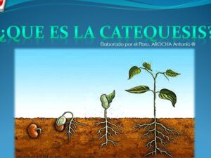 Qué es la Catequesis? | Catequesis de Valencia