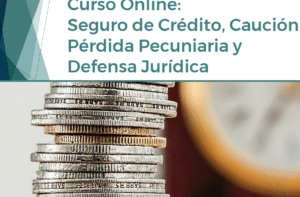 Curso Online: Seguro de Crédito, Caución, Pérdida Pecuniaria y ...