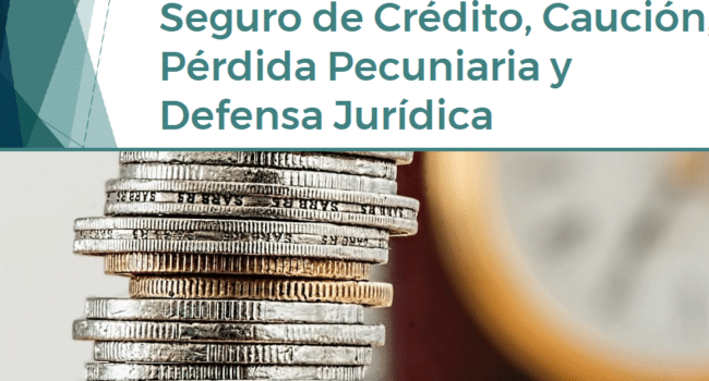 Curso Online: Seguro de Crédito, Caución, Pérdida Pecuniaria y ...