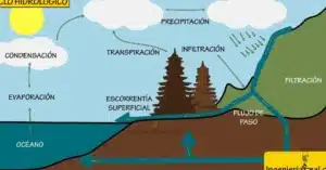 Hidrología en la Ingeniería Civil: Conceptos Clave y Ejemplos ...