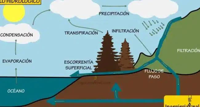 Hidrología en la Ingeniería Civil: Conceptos Clave y Ejemplos ...