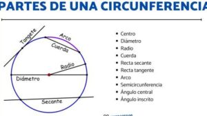 10 partes de la CIRCUNFERENCIA - para niños y niñas