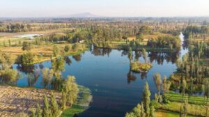 Las chinampas del Valle de México, un modelo de agricultura ...