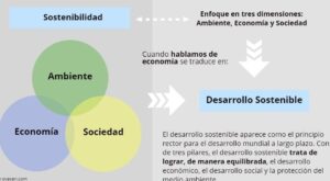 Qué es desarrollo sustentable y sostenible: Ejemplos ¿Diferencias?