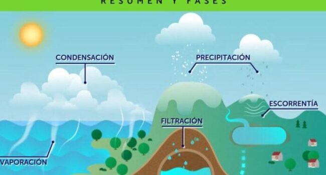 Etapas del Ciclo Hidrológico: Un Recorrido Completo por la ...