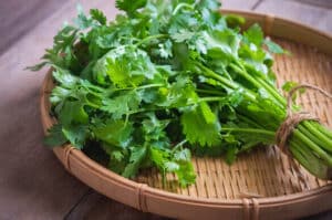 Cilantro, la hierba aromática imprescindible en la cocina latinoamericana y  oriental: qué es, cómo ...