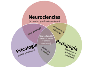 Bases Biológicas de la Educación