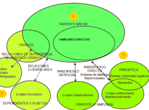 1. DEFINICIONES.