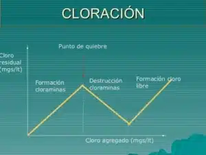 La cloración como proceso purificador de agua: aspectos positivos ...