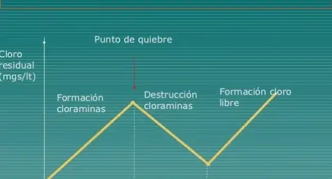 La cloración como proceso purificador de agua: aspectos positivos ...