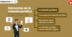 La relación jurídica y sus elementos, explicada por Mario Alzamora ...